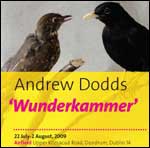 Andrew Dodds Wunderkammer info leaflet download