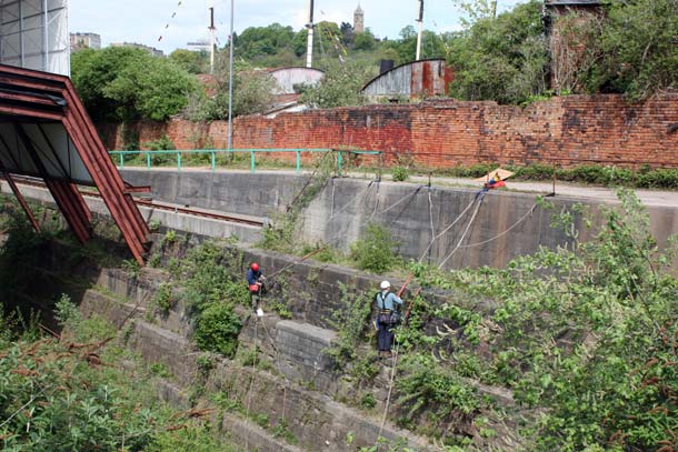 Underfall, Andrew Dodds biodiversity survey of dry dock