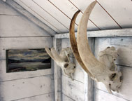 interior of installation with animal skulls and landscape painting